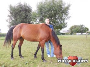 hwila wyciszenia z wpaniałymi zwieżakami